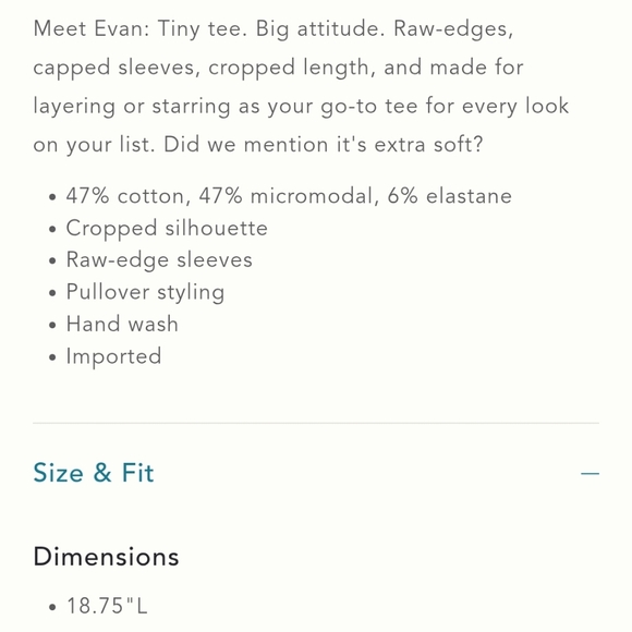 NWT The Evan Short-Sleeve Graphic Raw-Edge Baby Tee - Picture 6 of 6